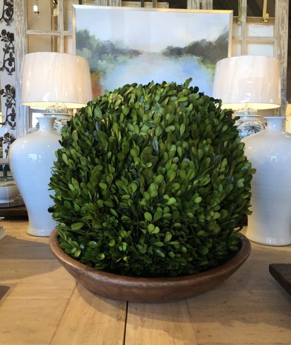 Buy Preserved Boxwood Ball 16"