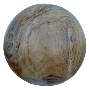Teak Root Ball