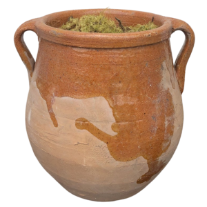 Terra Cotta Basil Herb Pot