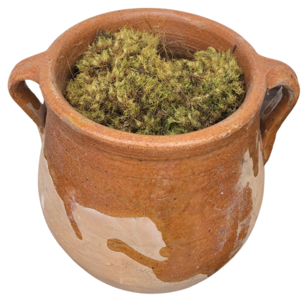 Herb pot terra cotta