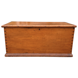 English Pine Trunk