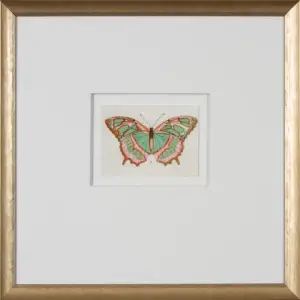 Metamorphosis I