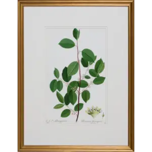 Kew Gardens I