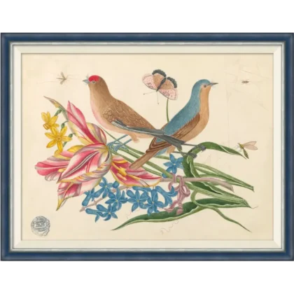 Birdsong XI